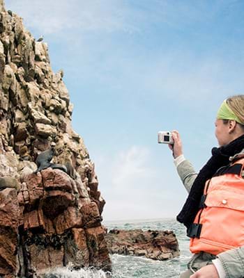 Tourist taking pictures of sea lions on the rocks in Paracas